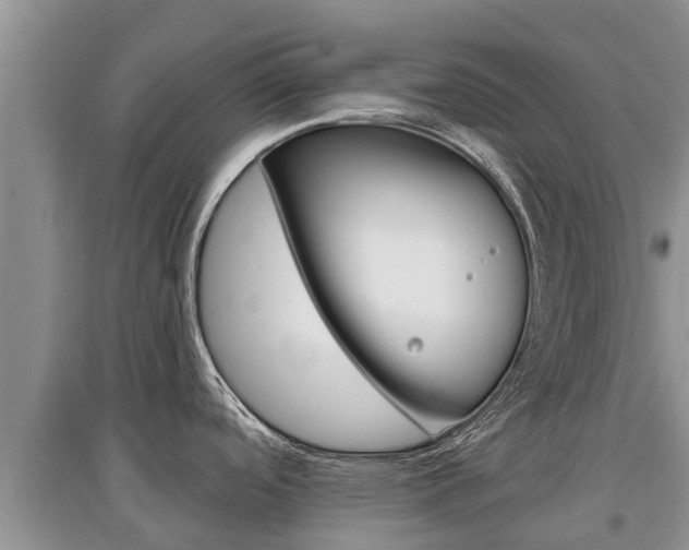 X0000097911488200803141018