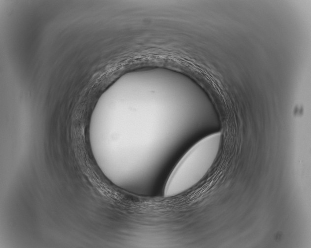 X0000097911489200803141017