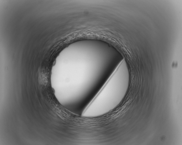 X0000097911490200803141017