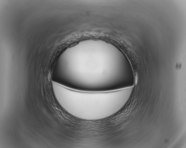 X0000097911492200803141017