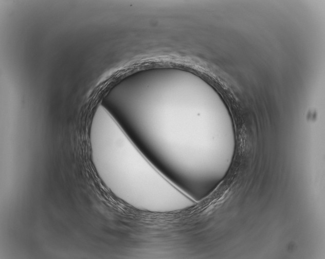 X0000097911494200803141017