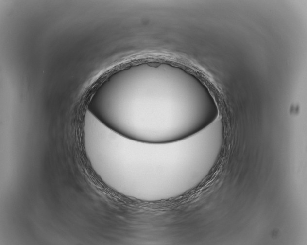 X0000097911496200803141017