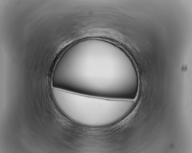 X0000097911497200803141017
