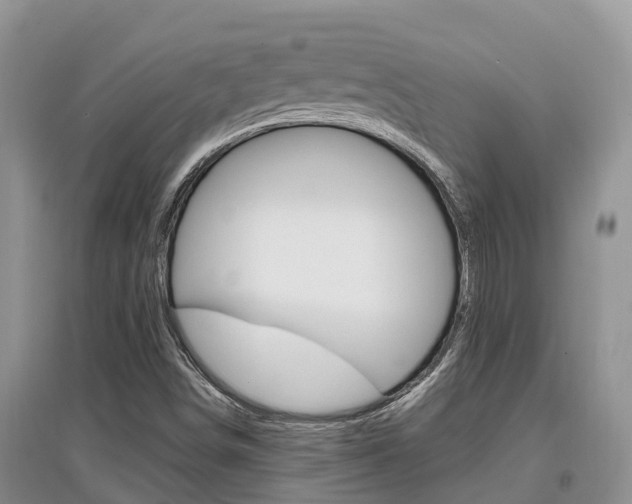 X0000097911498200803141017