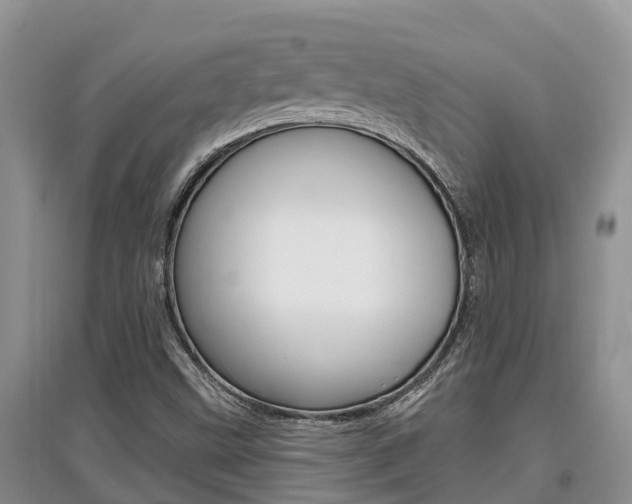 X0000097911499200803141017