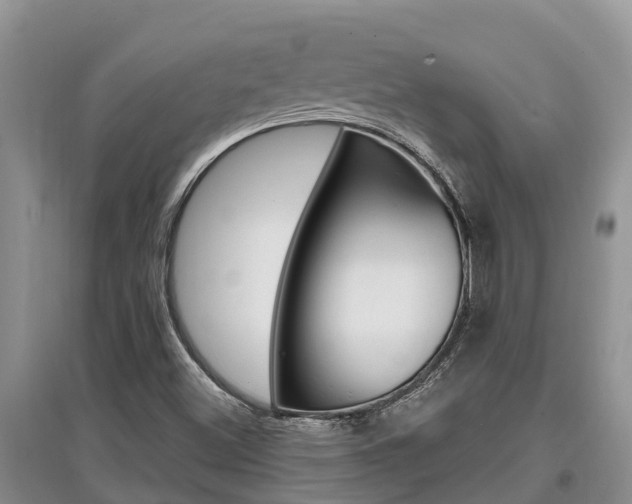 X0000097911500200803141017