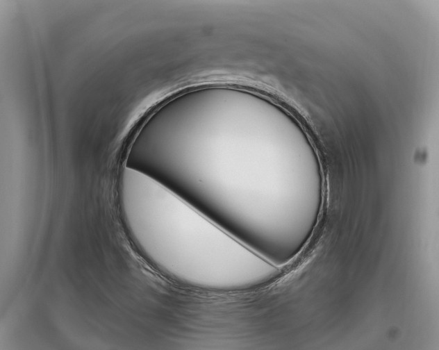 X0000097911501200803141017