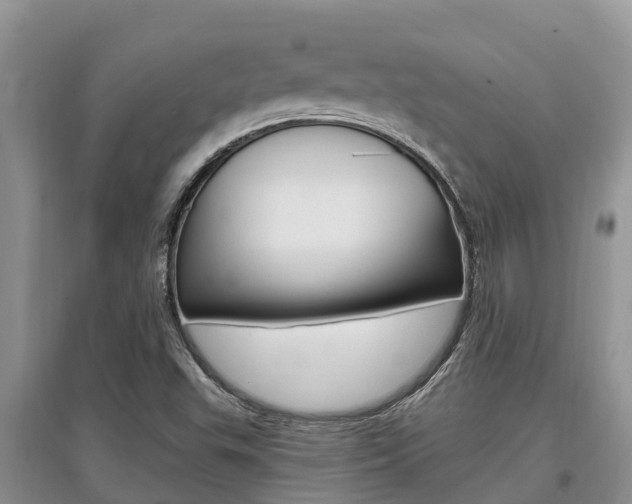 X0000097911503200803141018
