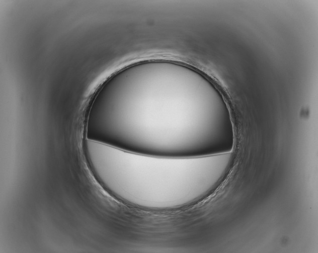 X0000097911504200803141018