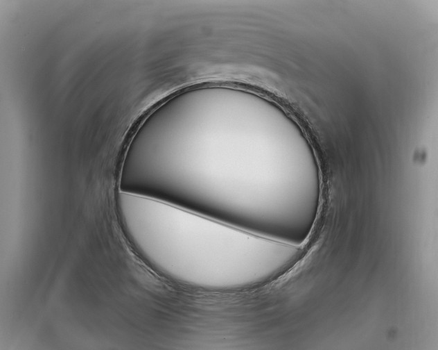 X0000097911505200803141018