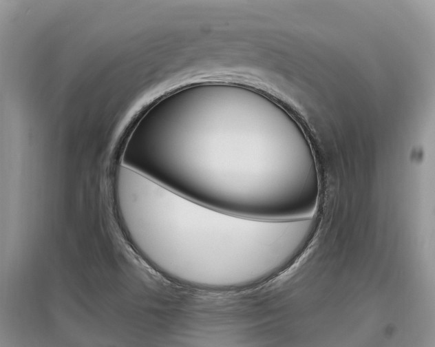X0000097911506200803141018
