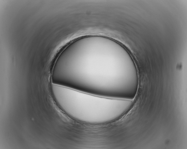 X0000097911507200803141018