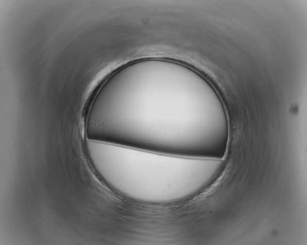 X0000097911509200803141018