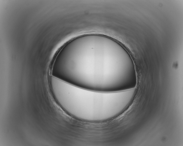 X0000097911510200803141018