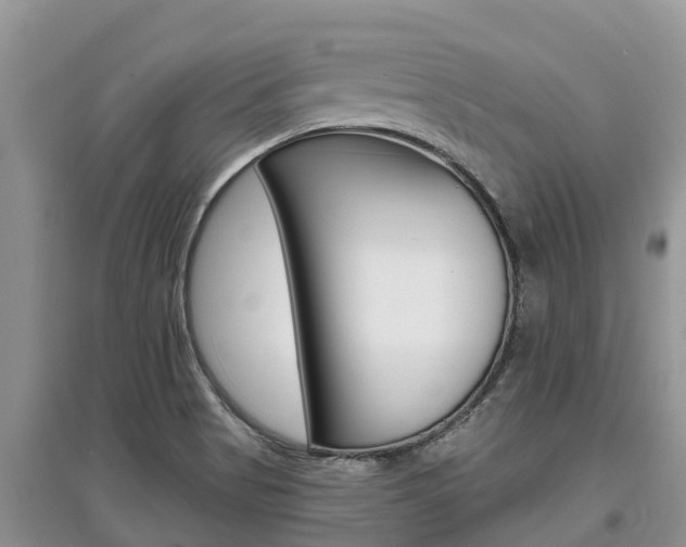 X0000097911513200803141018