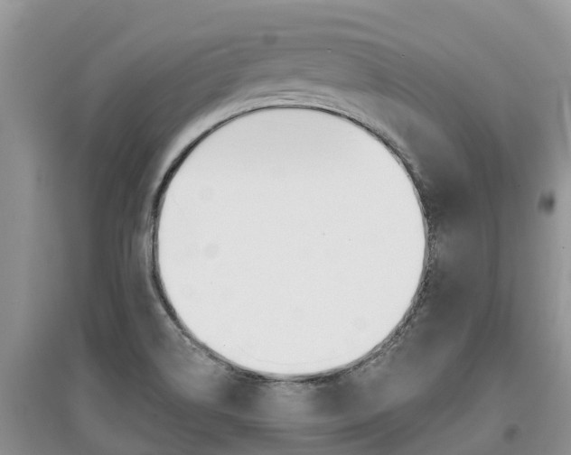 X0000097911514200803141018
