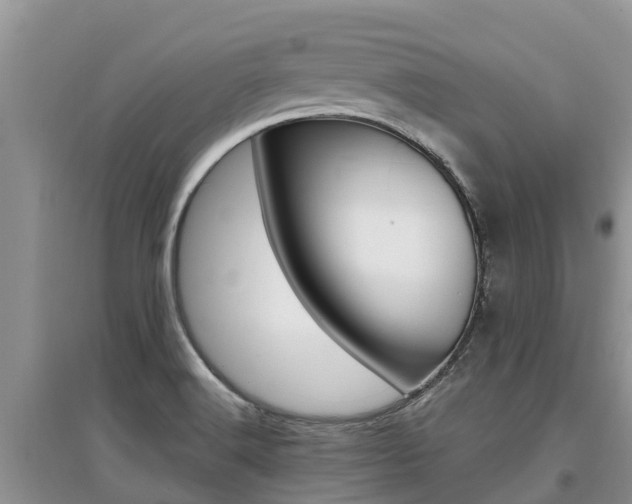 X0000097911516200803141018