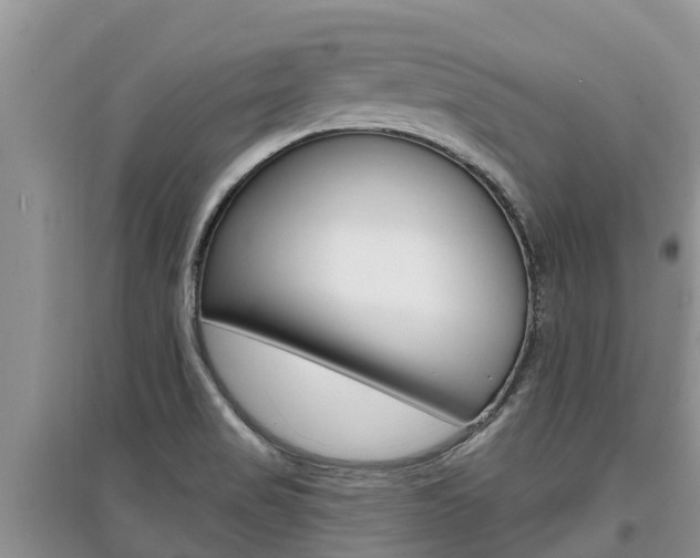 X0000097911517200803141018