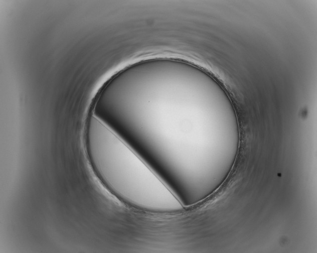 X0000097911518200803141018