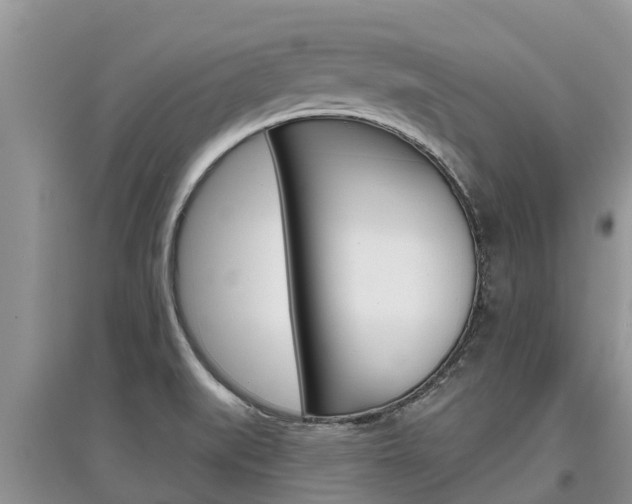X0000097911519200803141018