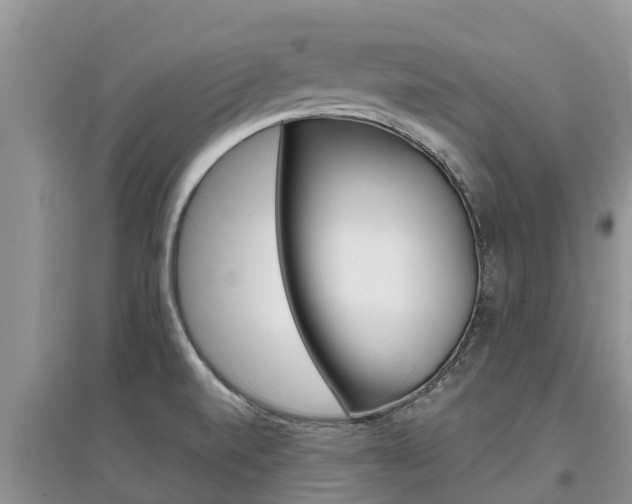 X0000097911520200803141018