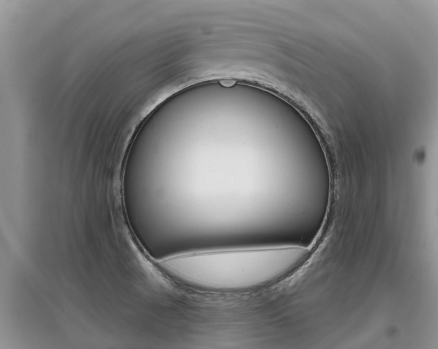 X0000097911521200803141018