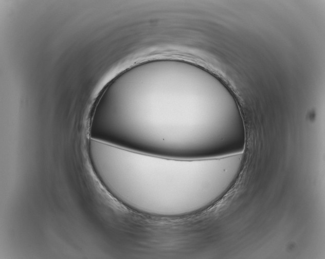 X0000097911522200803141018