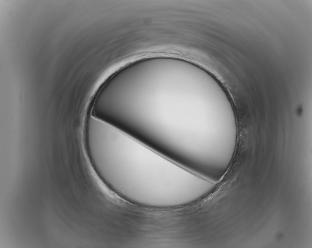 X0000097911523200803141018