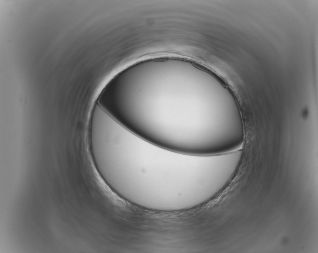 X0000097911524200803141018