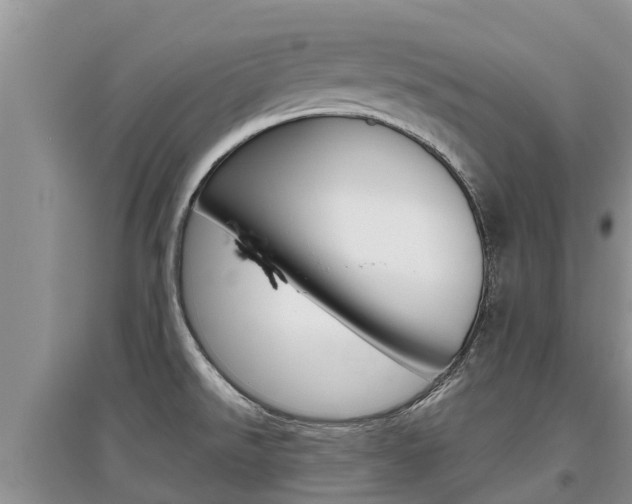 X0000097911526200803141018