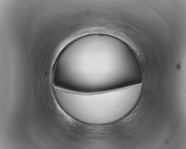 X0000097911527200803141018