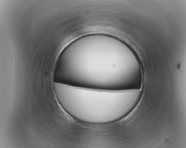X0000097911529200803141018
