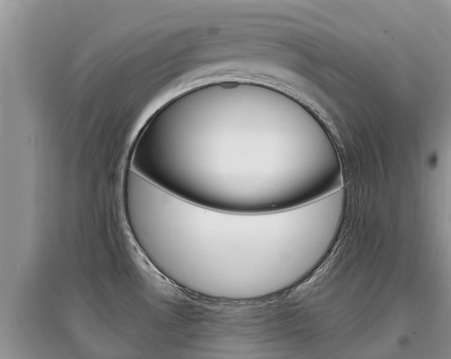 X0000097911530200803141018
