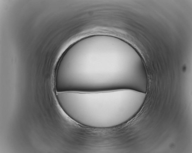 X0000097911531200803141018