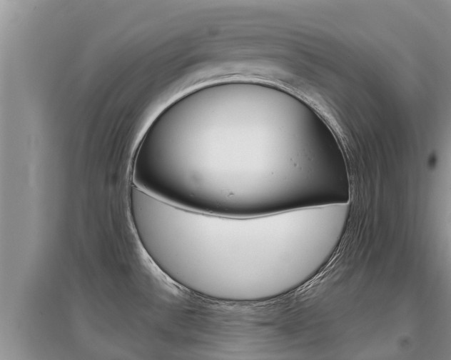 X0000097911532200803141018