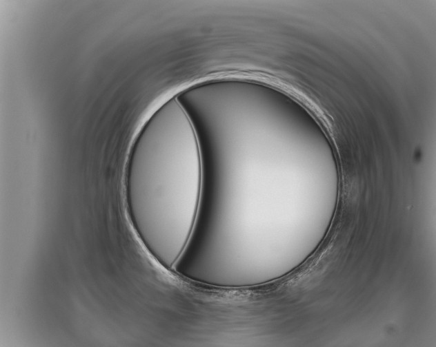 X0000097911533200803141018