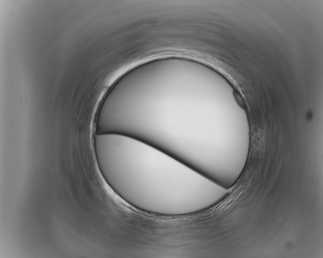 X0000097911535200803141018