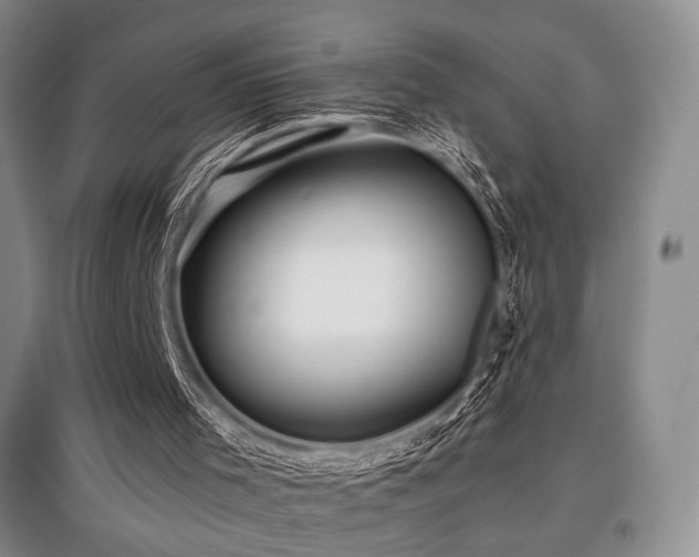 X0000097910001200803141429