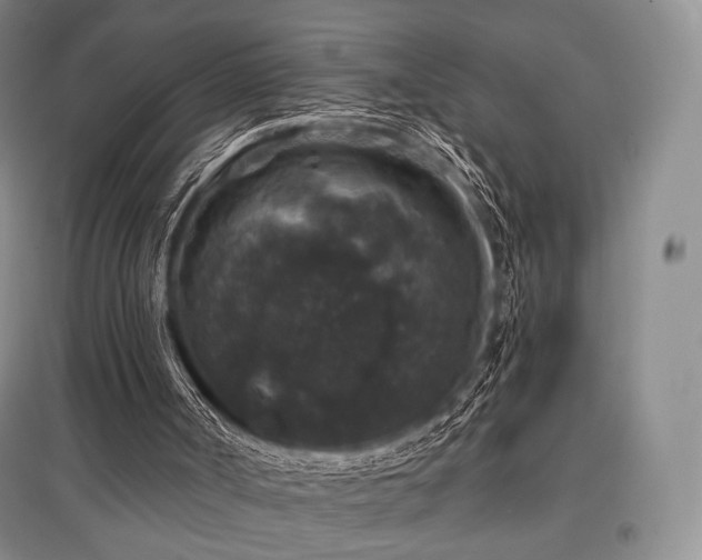 X0000097910002200803141429