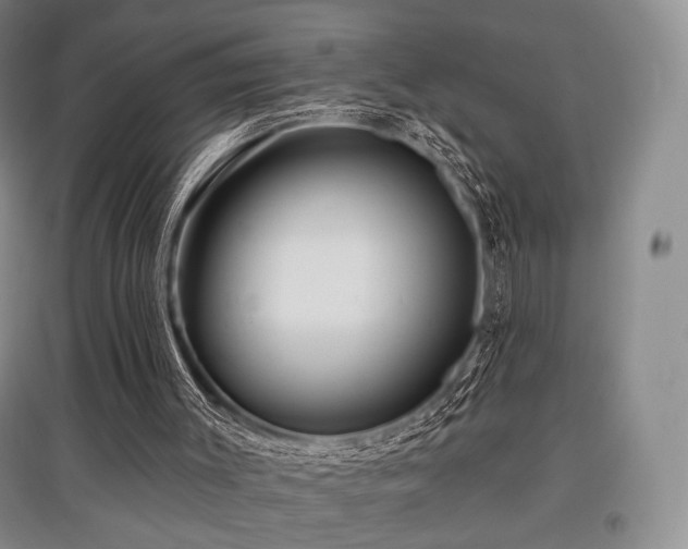 X0000097910003200803141429