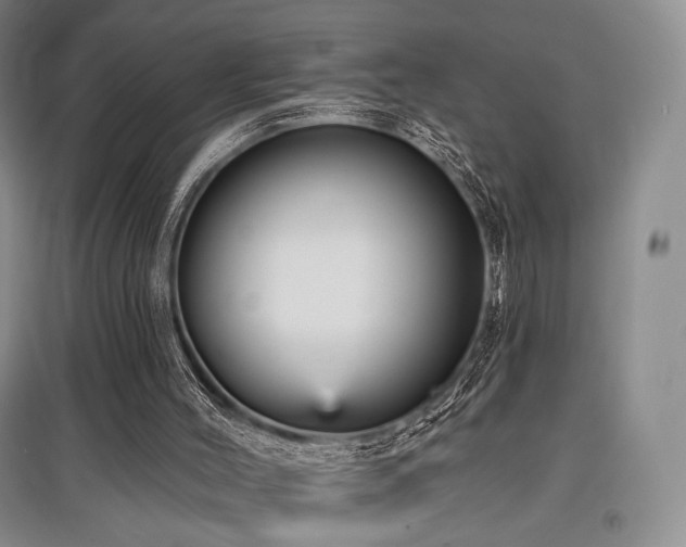 X0000097910004200803141429