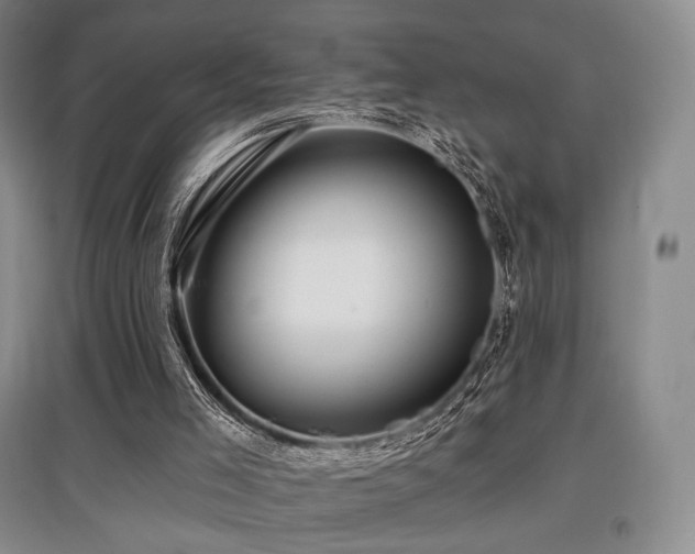 X0000097910005200803141429