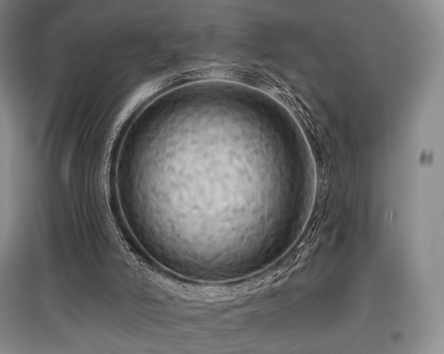 X0000097910006200803141429