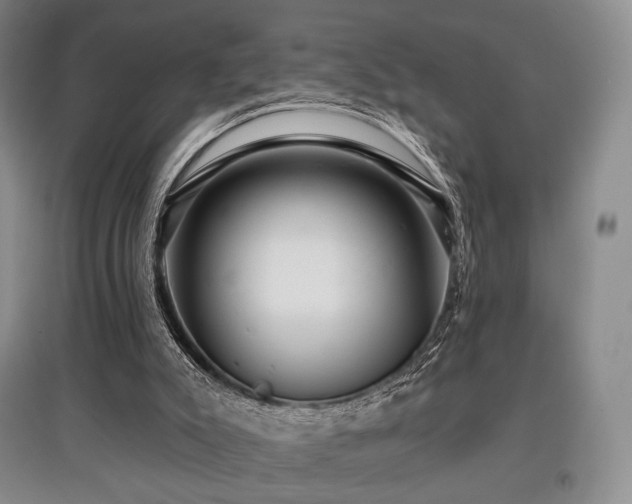 X0000097910007200803141429