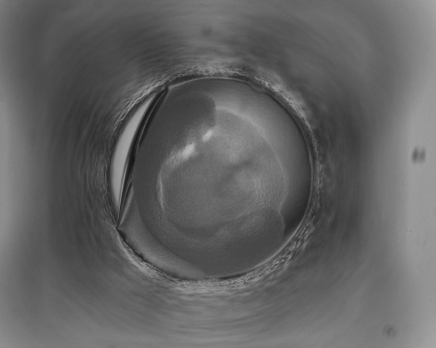 X0000097910009200803141429