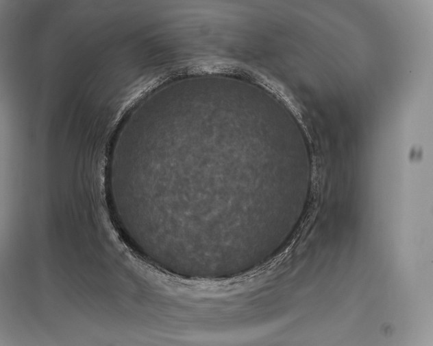 X0000097910010200803141429