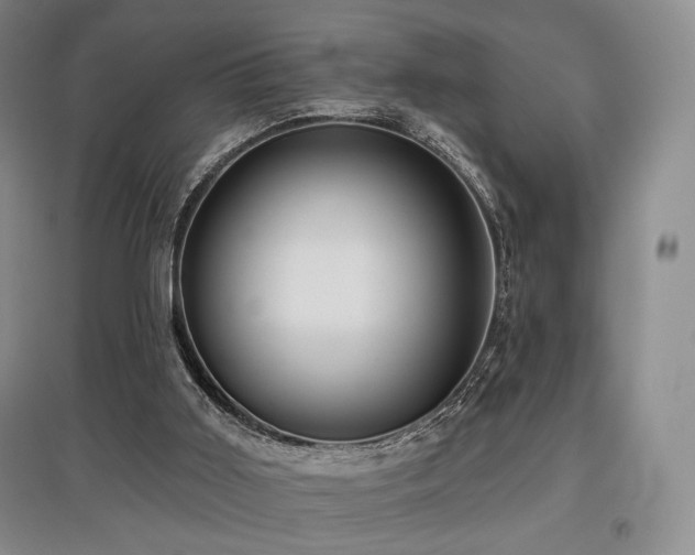 X0000097910011200803141429