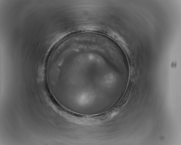 X0000097910012200803141429