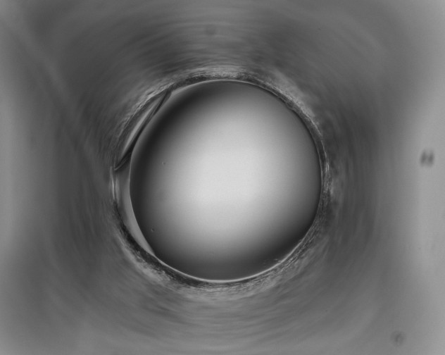 X0000097910013200803141429