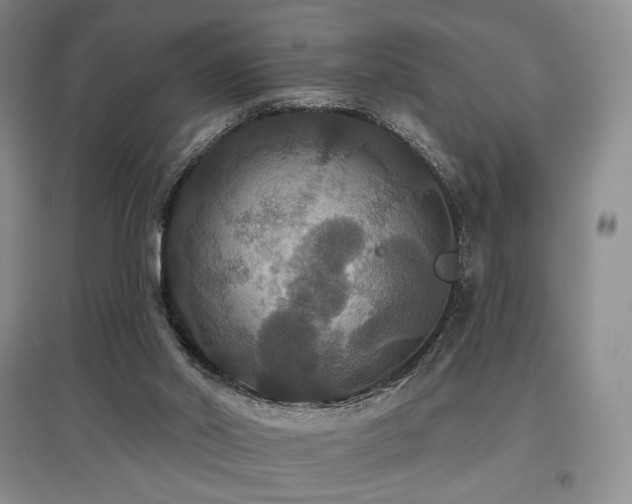 X0000097910014200803141428